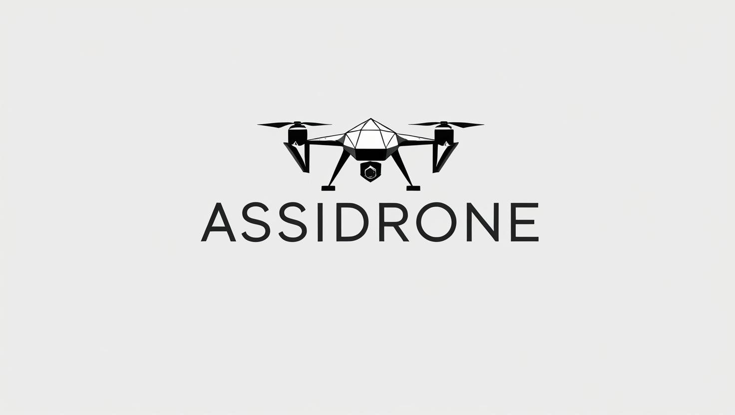 AssiDrone